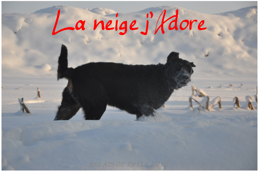 La neige jAdore